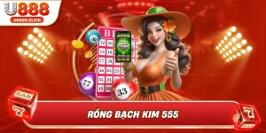 Rồng bạch kim 555
